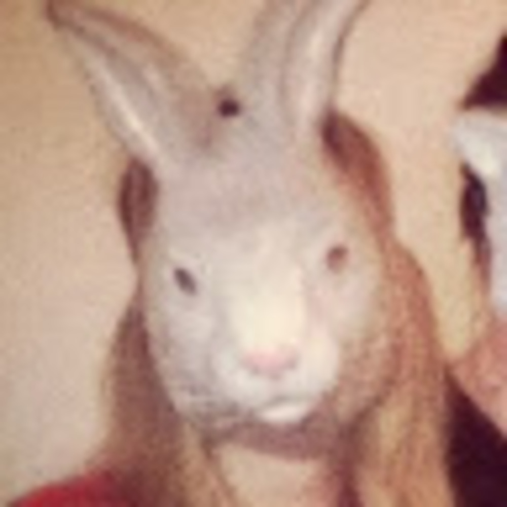 Meet your Posher, Rebecca